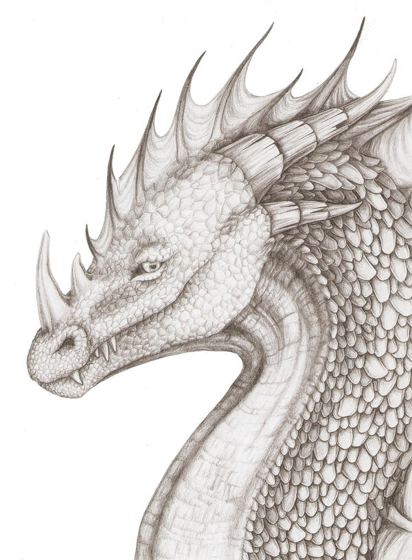 Scaly dragon portrait