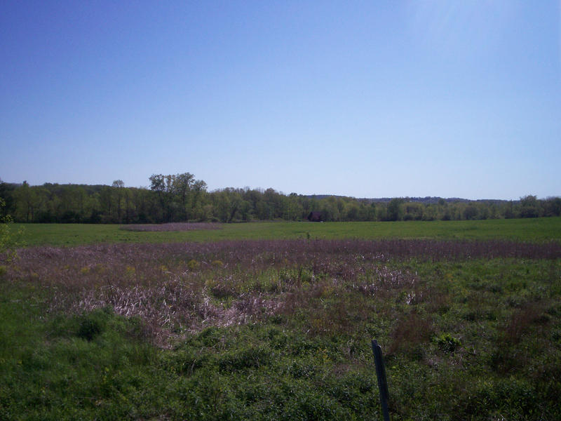 Beloved Field I love field images by SepticWings-stock on DeviantArt