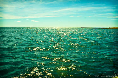 Sea in peninsula de valdez 002