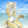 Seashell