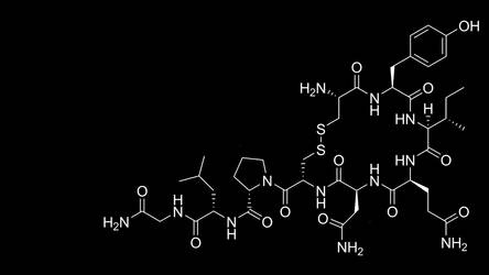 Oxytocin