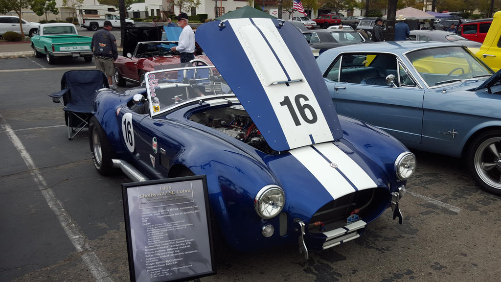 Made in South Africa Shelby Cobra  by granturismomh