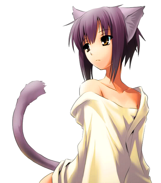 Neko Yuki