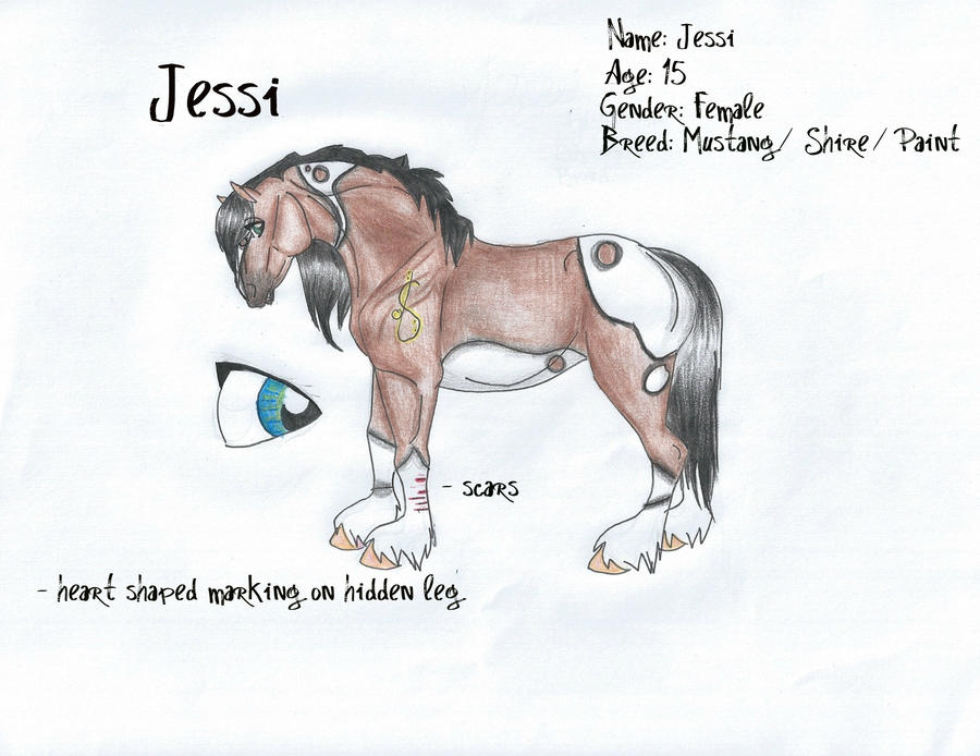 Jessi Ref. by horsebackrider22 on DeviantArt