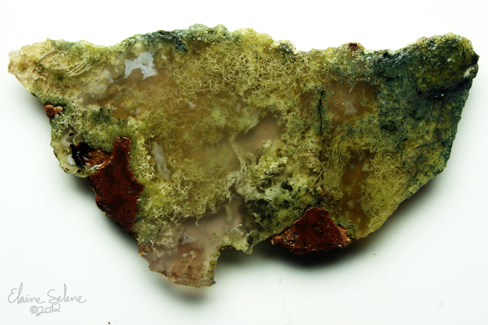 Moss Agate - 5