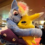 Rainbow Dash and Renamon love