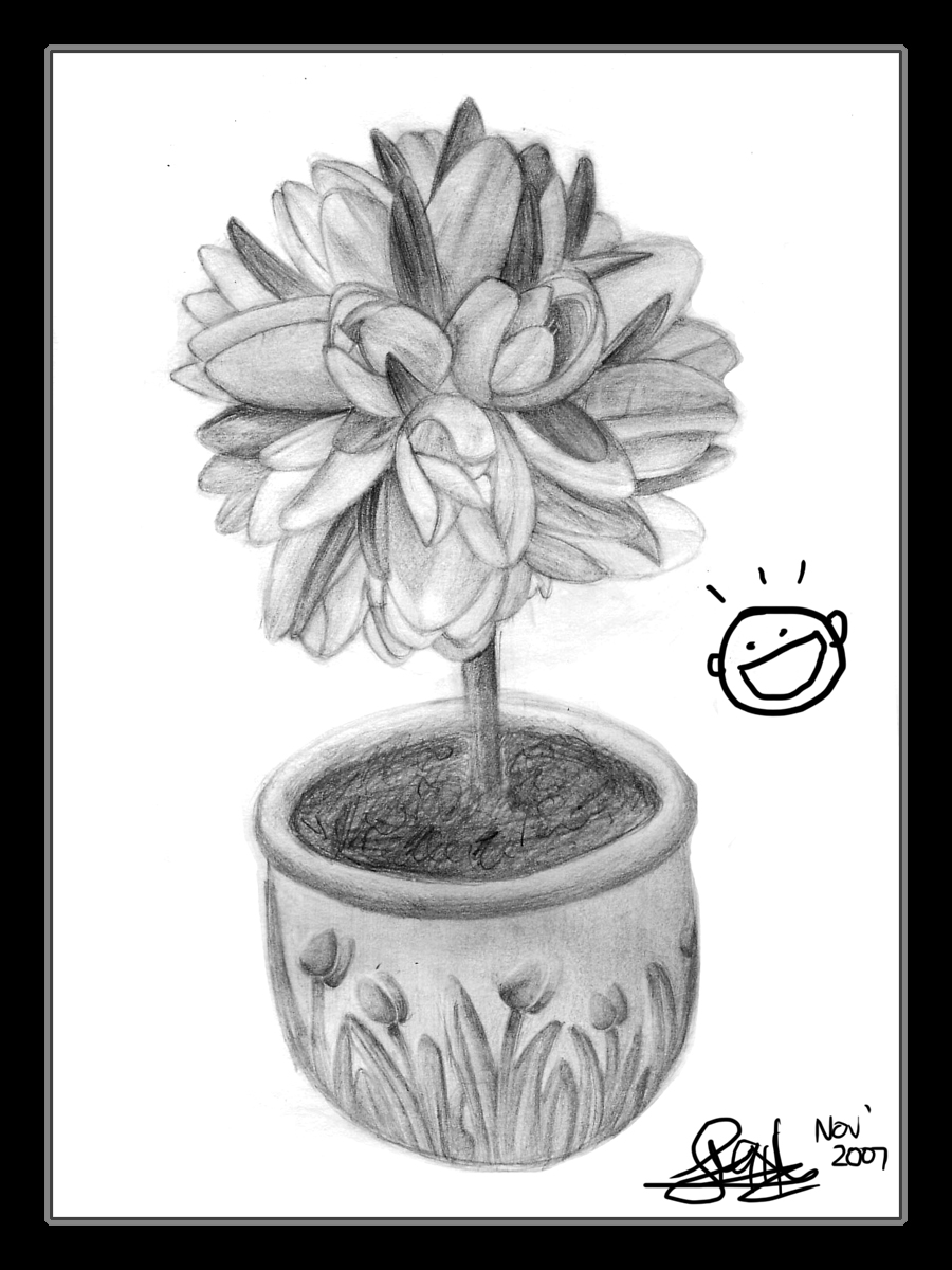 Featured image of post How To Draw A Realistic Flower Pot