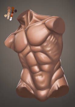 Digital skin painting Anatomical study