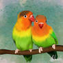 love birds 