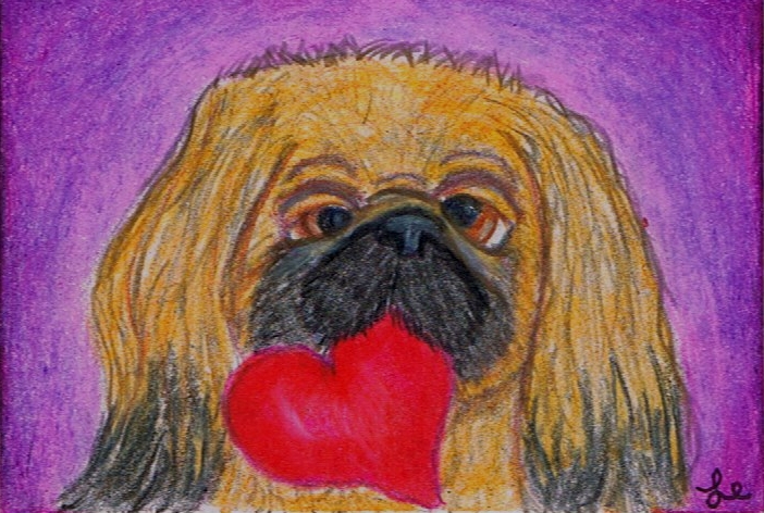 My Puppy Valentine Pekingese