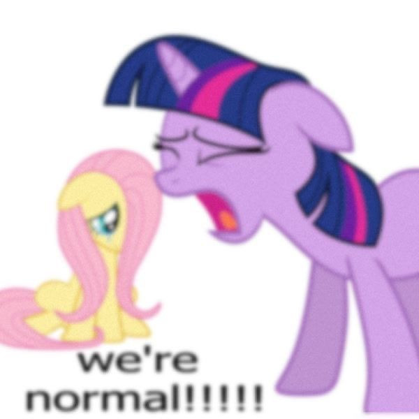 mlp archive on X https t co raKVlrTfLY X
