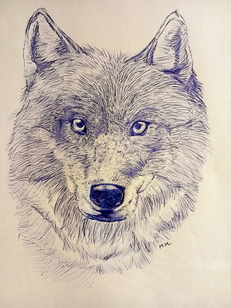 Wolf by MAPPINGmuchasideas on DeviantArt
