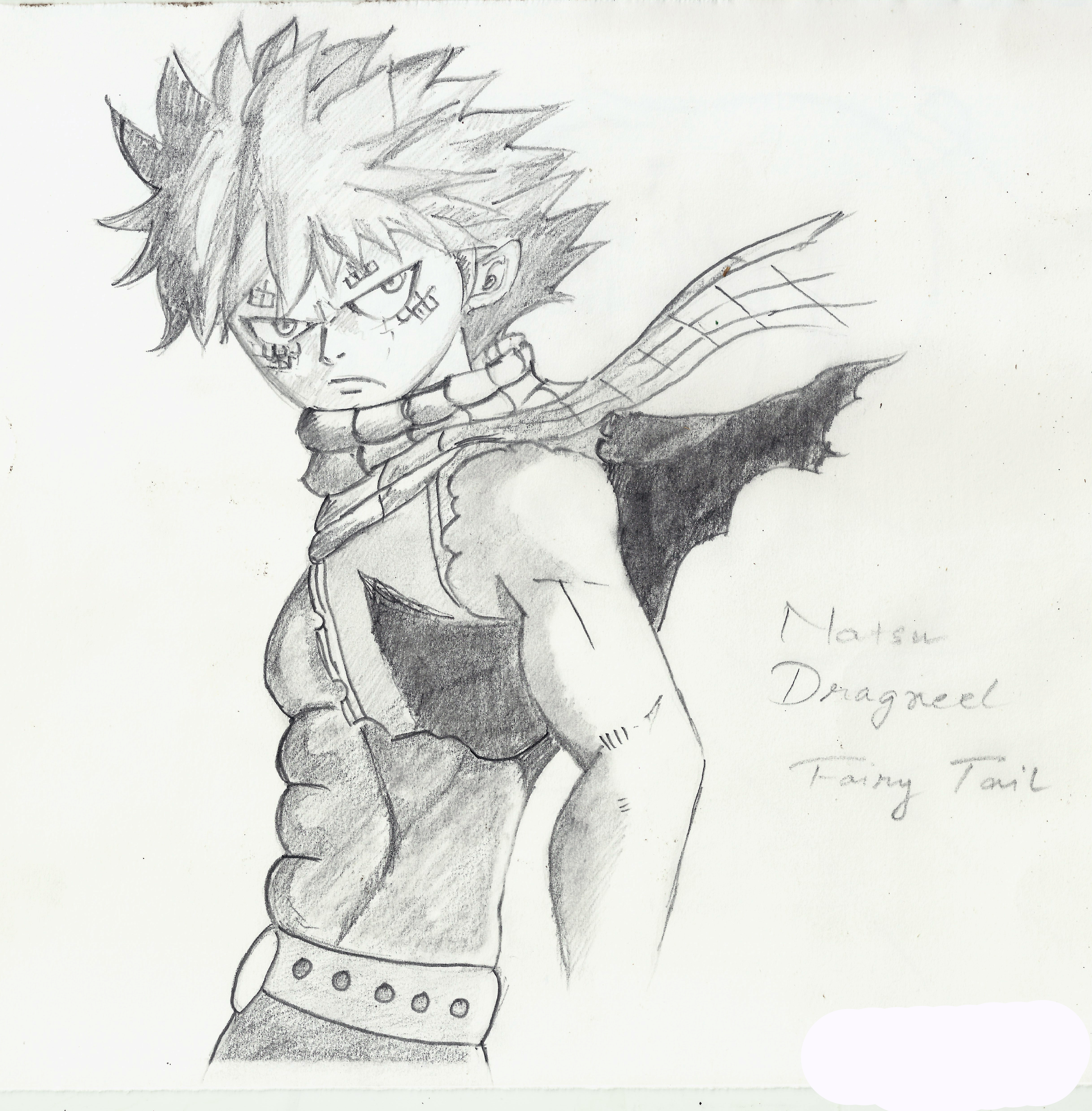 Natsu in Dragon Force, Fairy Tail by suvodeep12 on DeviantArt