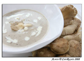 Appetizer: Mushroom Soup