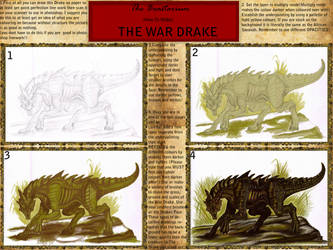 The War Drake TUTORIALS