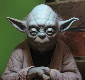 Yoda Statue