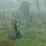 Foggy at the cemetary 1