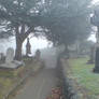 Foggy in the cemetery 37