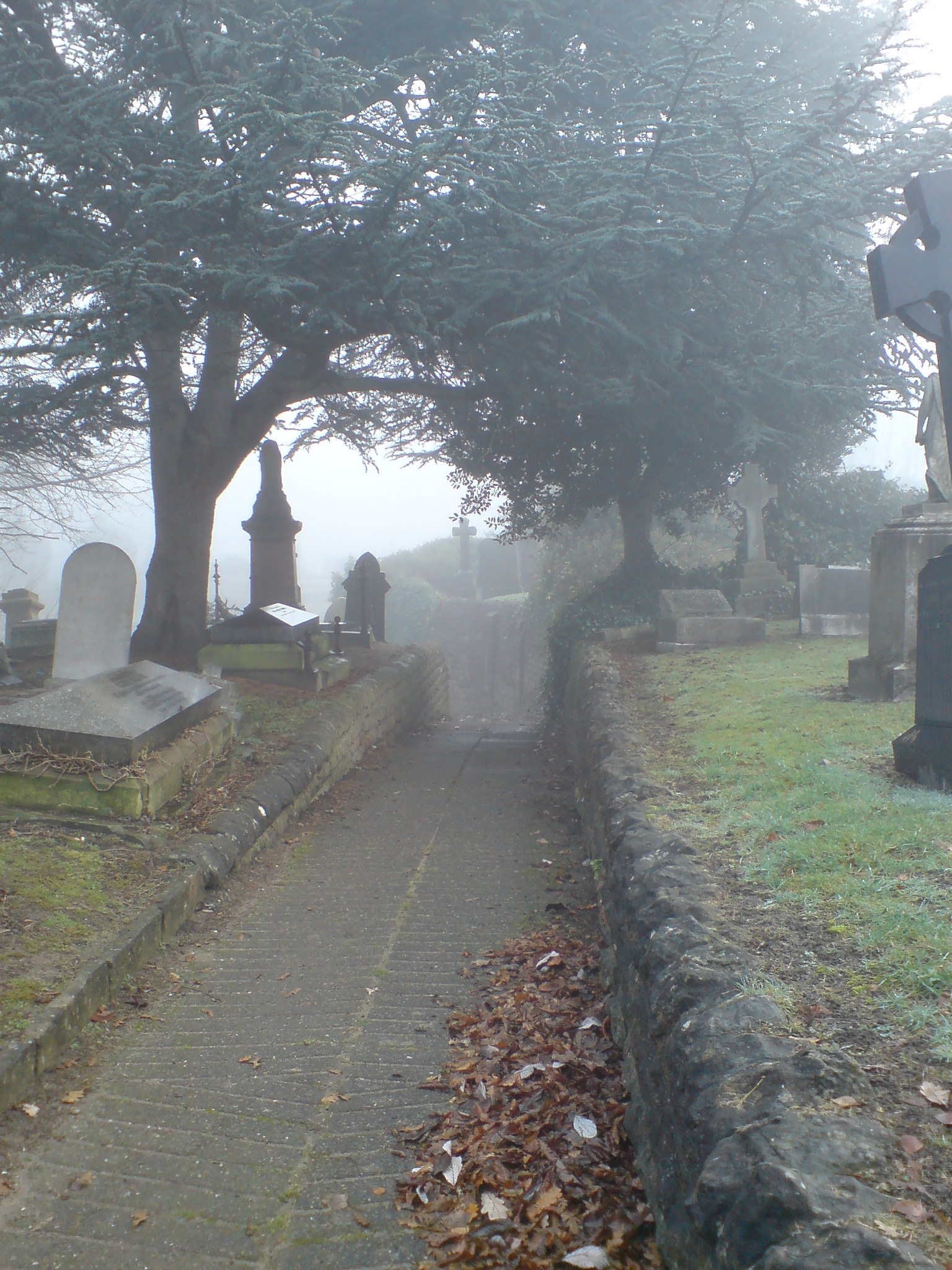 Foggy in the cemetery 37