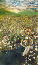 In a field of daisies