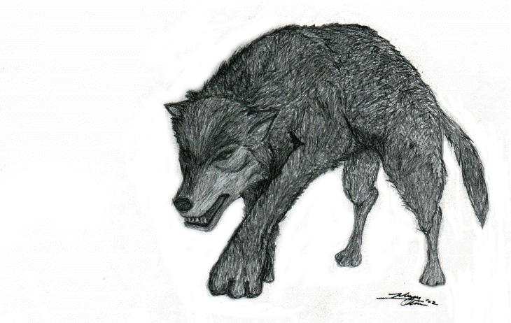 The Wolfie