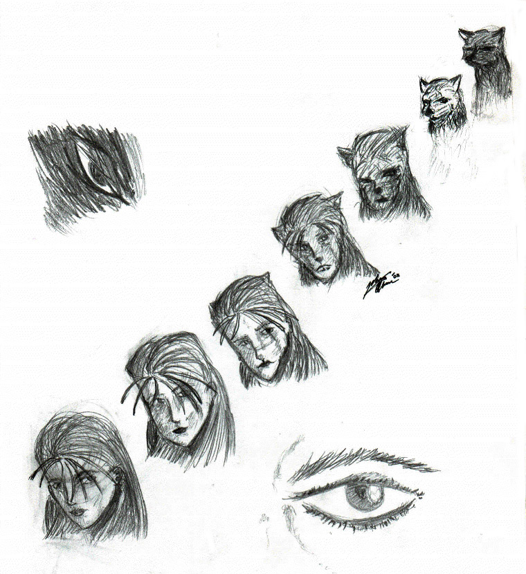 Animorph Lady by shadowolf2k on DeviantArt