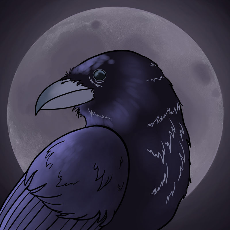 {Commission} Raven by mapletoffee on DeviantArt