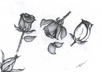 emo roses