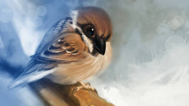 Sparrow