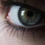 Eye Stock 25