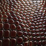 Snake Skin Texture