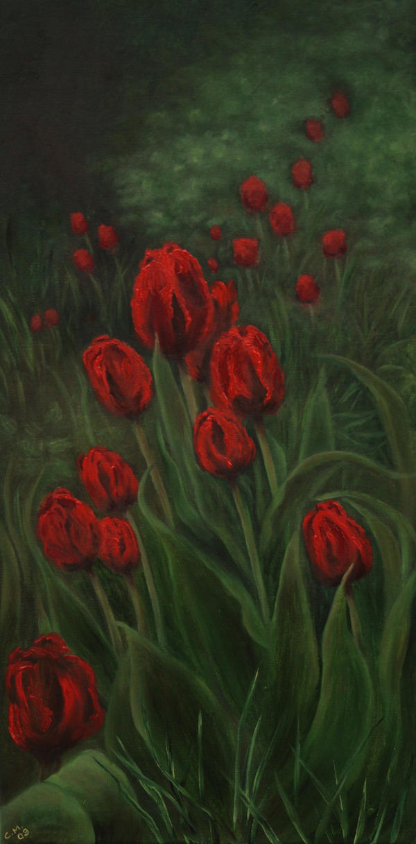 Tulips