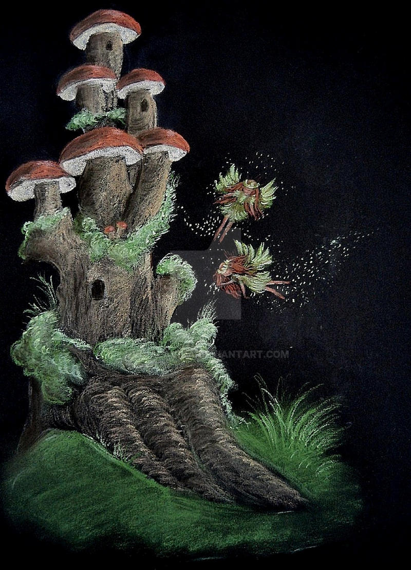 House of the Forest Fairies