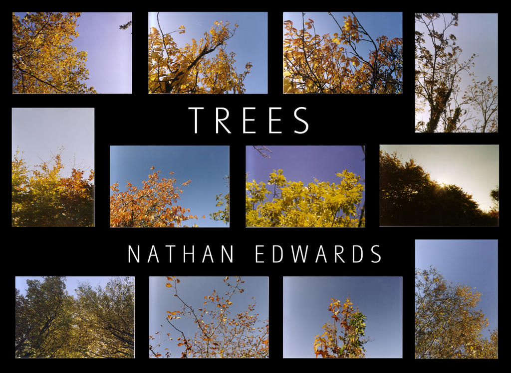 Autumn Trees by Npfthunfan on DeviantArt