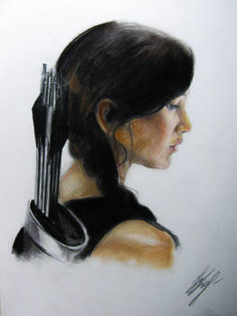 Katniss The Hunter Games catching fire