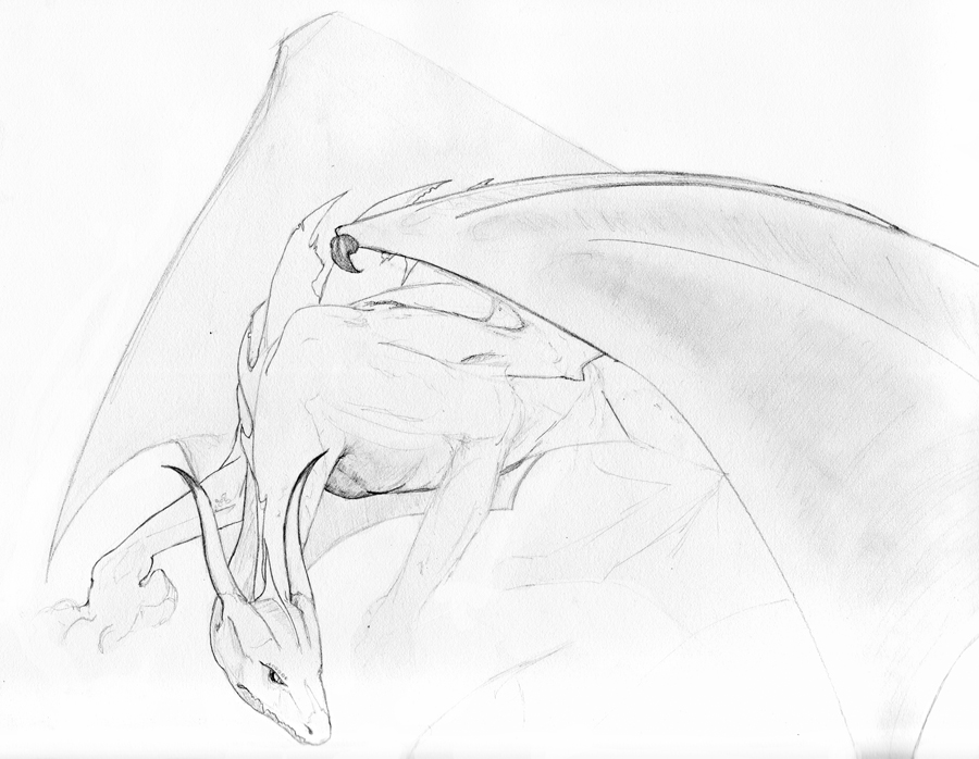 An early dragon sketch