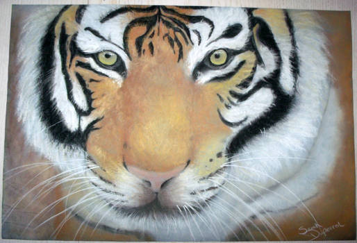 Tiger soft pastel