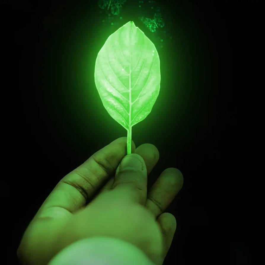 Leaf Magic Explosion Magic leaf by Xxxzied on DeviantArt