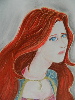 Sansa detail