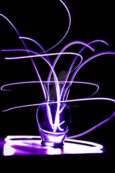 Light Painting: Vase