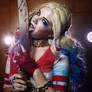 Harley Quinn - the crazy ones