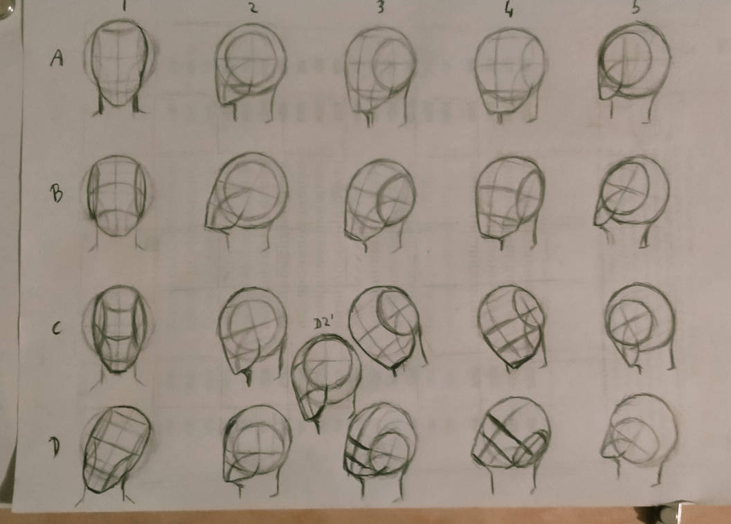 Drawing exercises #13 head practice 2 by Errorban4 on DeviantArt