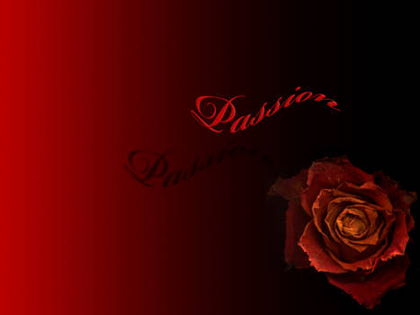 Rose passion wallpaper