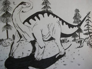 Shunosaurus 2