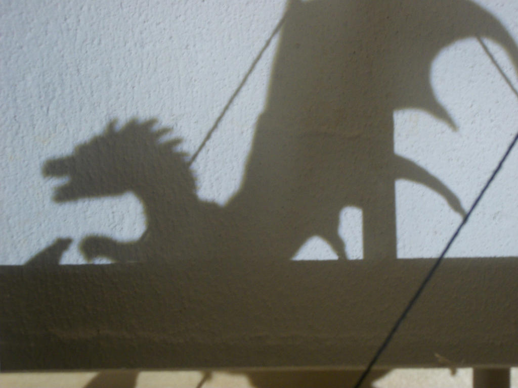 Dragom Shadow Dragon Shadow by losthormes on DeviantArt