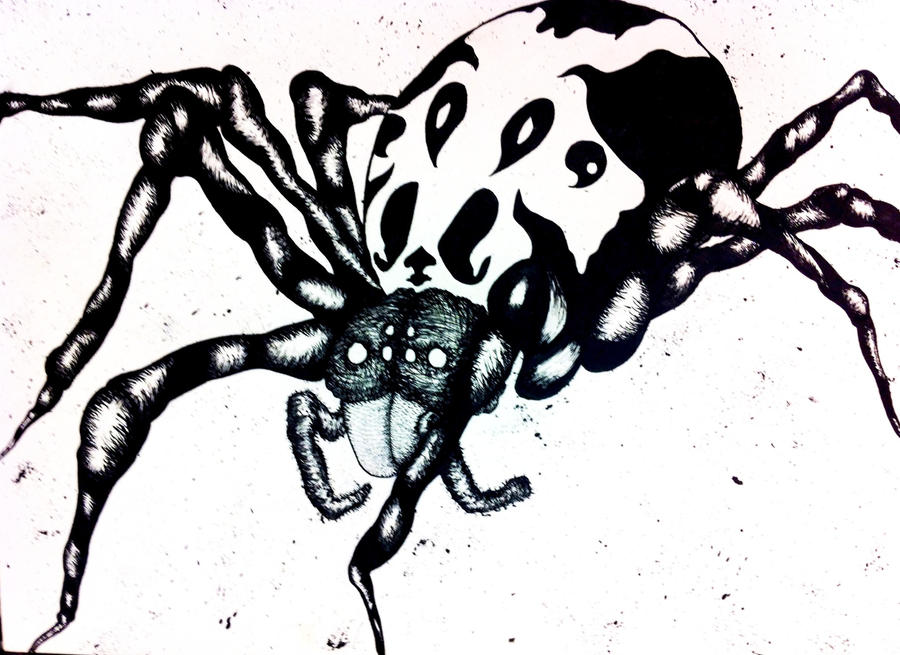 Deviantart Spider Spider by Sizzzlaa on DeviantArt
