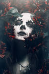 La Catrina IV by NickChao