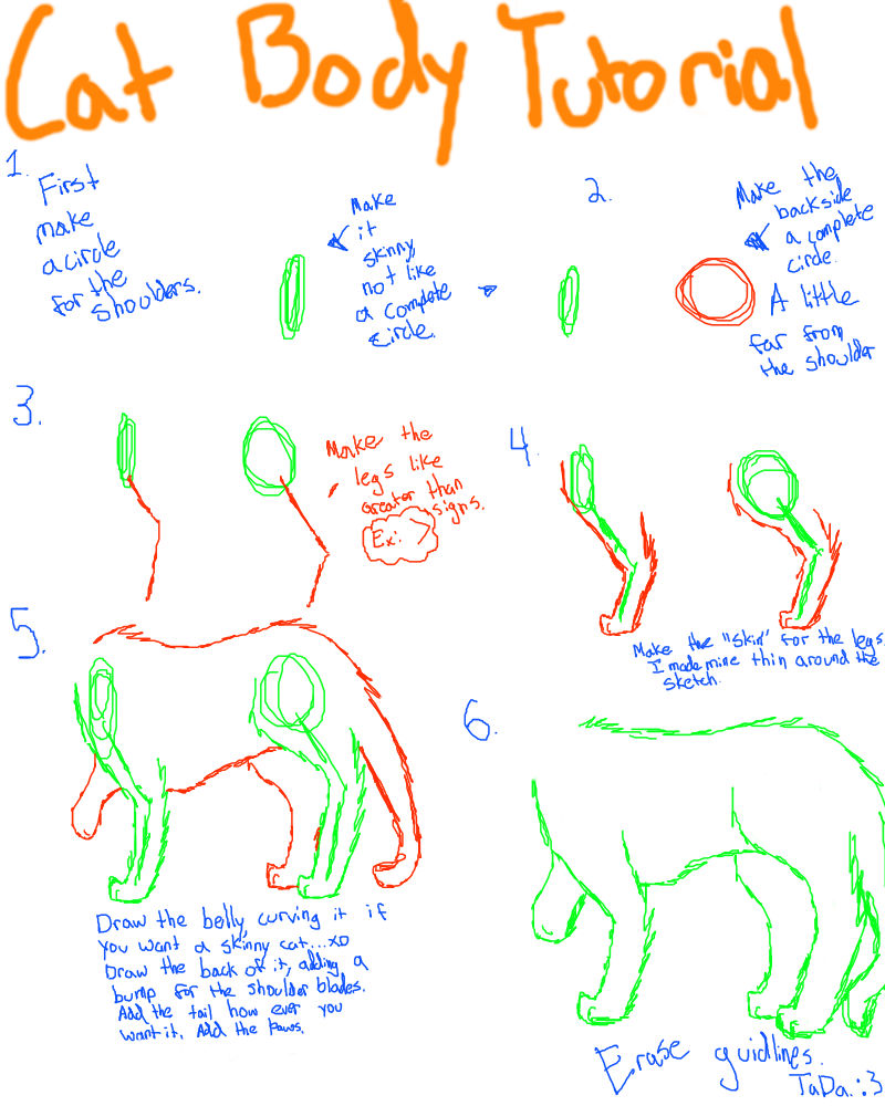 Cat Body Tutorial by Watertrack on DeviantArt