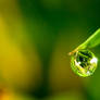 Droplet