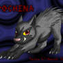 Pochena